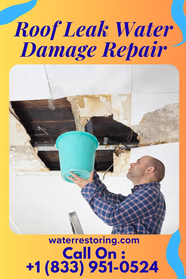 Roof Leak Water Damage Repair in Sandy, UT